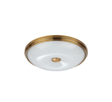 Настенно-потолочный светильник Odeon Light Pelow 4956/4
