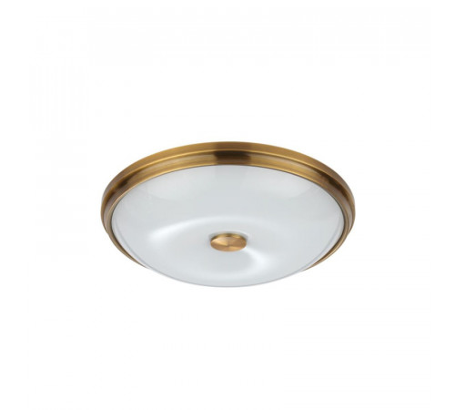 Настенно-потолочный светильник Odeon Light Pelow 4956/4 Настенно-потолочный светильник Odeon Light Pelow 4956/4