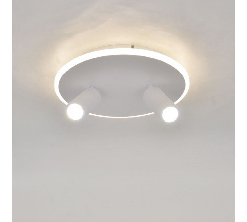 Настенно-потолочный светильник Escada 20046SMA/02LED WH Настенно-потолочный светильник Escada 20046SMA/02LED WH