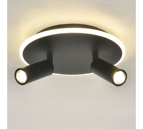 Настенно-потолочный светильник Escada 20046SMA/02LED BK Настенно-потолочный светильник Escada 20046SMA/02LED BK
