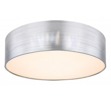 Настенно-потолочный светодиодный светильник Globo Sinni 15365D