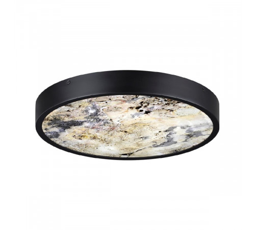 Настенно-потолочный светильник Odeon Light Bergi 5064/24L Настенно-потолочный светильник Odeon Light Bergi 5064/24L
