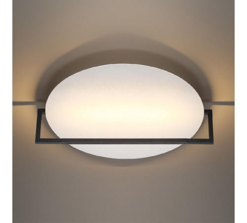 Настенно-потолочный светильник Odeon Light Lunar 7015/20WL