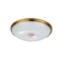 Настенно-потолочный светильник Odeon Light Pelow 4956/5