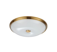 Настенно-потолочный светильник Odeon Light Pelow 4956/5