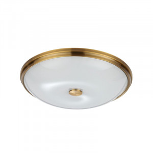 Настенно-потолочный светильник Odeon Light Pelow 4956/5