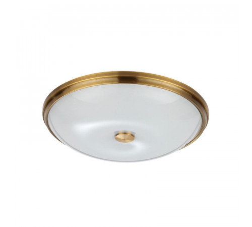 Настенно-потолочный светильник Odeon Light Pelow 4956/5 Настенно-потолочный светильник Odeon Light Pelow 4956/5
