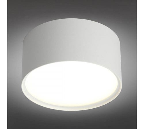 Потолочный светодиодный светильник Omnilux Salentino OML-100909-12 Потолочный светодиодный светильник Omnilux Salentino OML-100909-12
