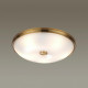 Настенно-потолочный светильник Odeon Light Pelow 4956/5