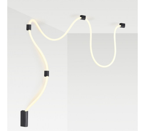 Настенно-потолочный светильник Odeon Light Corda 4391/30CL Настенно-потолочный светильник Odeon Light Corda 4391/30CL
