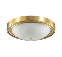 Настенно-потолочный светильник Lumion Vintage 5259/3C