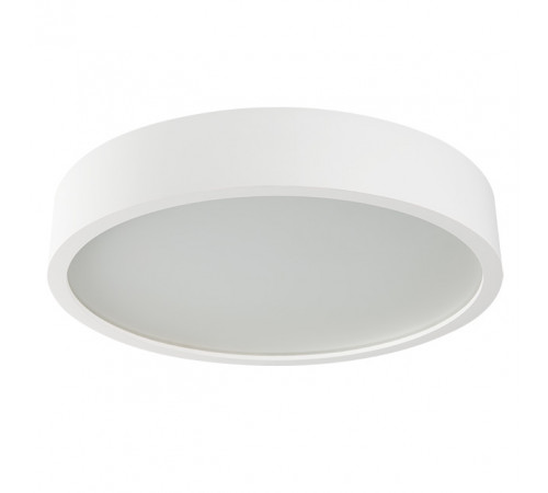 Настенно-потолочный светильник Kanlux Jasmin 470-W/M 23128 Настенно-потолочный светильник Kanlux Jasmin 470-W/M 23128