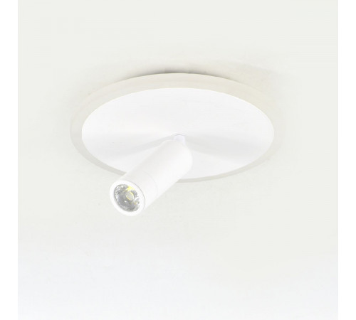 Настенно-потолочный светильник Escada 20046SMA/01LED WH Настенно-потолочный светильник Escada 20046SMA/01LED WH