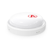 Настенно-потолочный светильник Gauss Elementary 126411212A