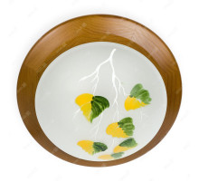 Потолочный светильник Toplight Enilu TL9461Y-01OA