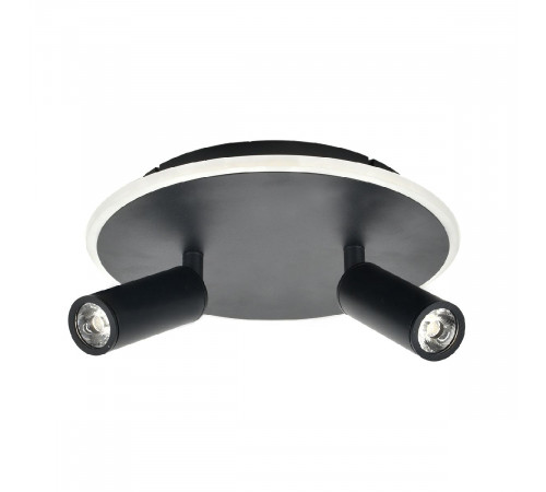Настенно-потолочный светильник Escada 20046SMA/02LED BK Настенно-потолочный светильник Escada 20046SMA/02LED BK