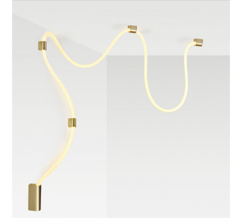 Настенно-потолочный светильник Odeon Light Corda 4397/30CL Настенно-потолочный светильник Odeon Light Corda 4397/30CL