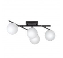 Настенно-потолочный светильник Citilux Dorsy CL223142