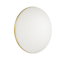 Настенно-потолочный светильник Sonex Lassa 3043/DL