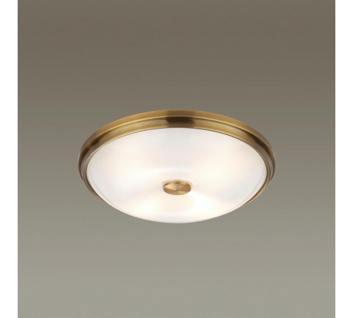 Настенно-потолочный светильник Odeon Light Pelow 4956/4 Настенно-потолочный светильник Odeon Light Pelow 4956/4