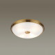 Настенно-потолочный светильник Odeon Light Pelow 4956/4