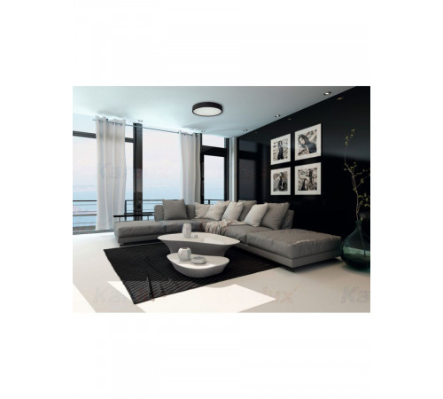 Настенно-потолочный светильник Kanlux Jasmin 370-B 29208 Настенно-потолочный светильник Kanlux Jasmin 370-B 29208