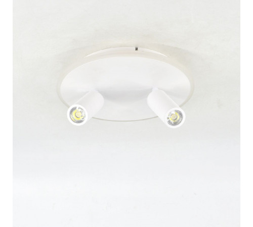 Настенно-потолочный светильник Escada 20046SMA/02LED WH Настенно-потолочный светильник Escada 20046SMA/02LED WH