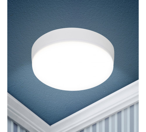 Настенно-потолочный светильник Эра LED 15-18-4K Б0054332