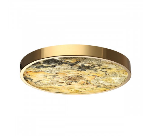 Настенно-потолочный светильник Odeon Light Bergi 5079/40L Настенно-потолочный светильник Odeon Light Bergi 5079/40L
