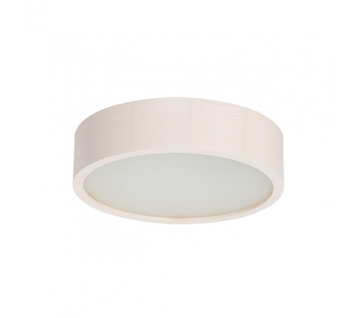 Настенно-потолочный светильник Kanlux Jasmin 270-W 23123 Настенно-потолочный светильник Kanlux Jasmin 270-W 23123