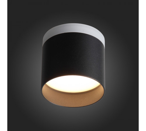 Накладной светильник ST Luce ST102.402.12 Накладной светильник ST Luce ST102.402.12