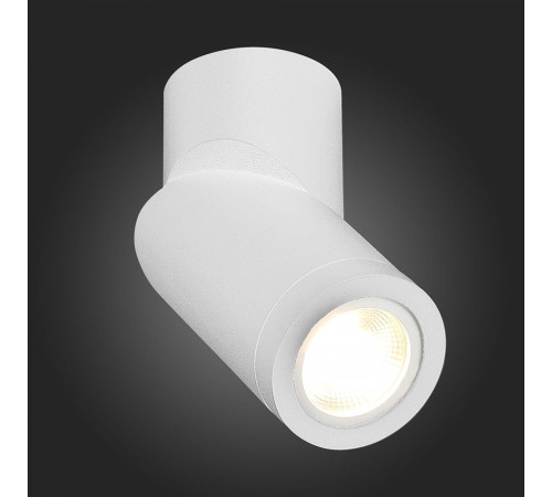 Точечный светильник ST Luce ST650.502.01