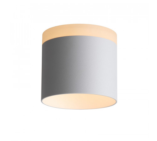 Накладной светильник ST Luce ST102.502.12 Накладной светильник ST Luce ST102.502.12