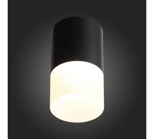Накладной светильник ST Luce ST100.402.10 Накладной светильник ST Luce ST100.402.10