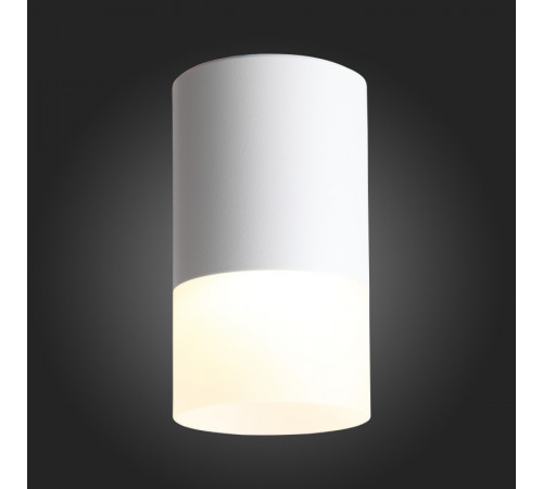 Накладной светильник ST Luce ST100.502.05 Накладной светильник ST Luce ST100.502.05