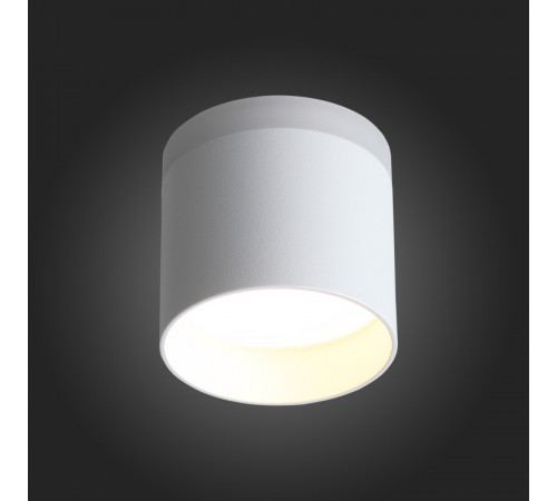 Накладной светильник ST Luce ST102.502.12 Накладной светильник ST Luce ST102.502.12