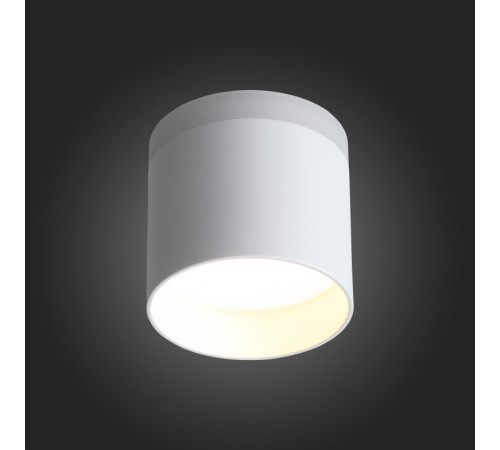 Накладной светильник ST Luce ST102.502.09 Накладной светильник ST Luce ST102.502.09