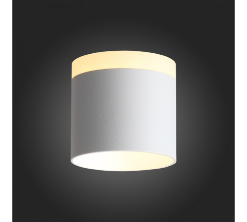 Накладной светильник ST Luce ST102.502.09 Накладной светильник ST Luce ST102.502.09
