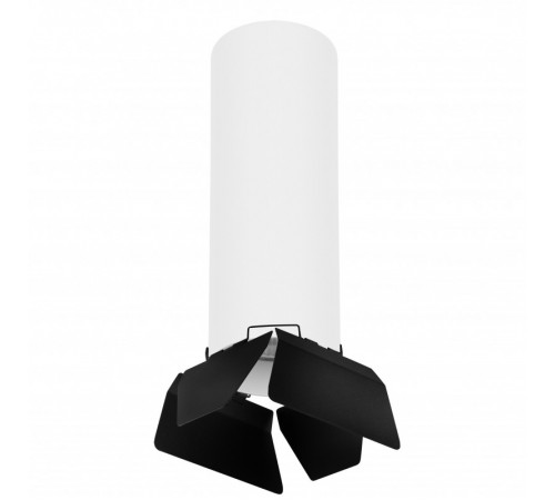 Накладной светильник Lightstar RULLO R6496487 (216496+202487) Накладной светильник Lightstar RULLO R6496487 (216496+202487)