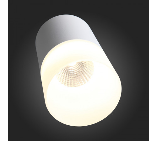 Накладной светильник ST Luce ST100.502.05 Накладной светильник ST Luce ST100.502.05