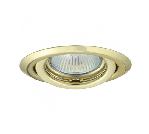 Точечный светильник Kanlux Argus CT-2115-YG 335