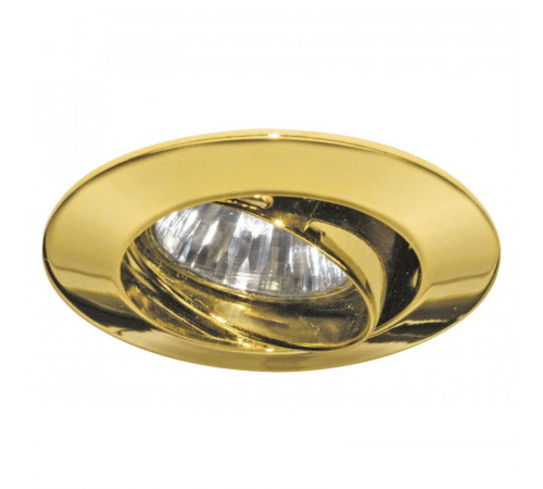 Встраиваемый светильник Paulmann Premium Line Halogen 99309 Встраиваемый светильник Paulmann Premium Line Halogen 99309