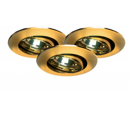Встраиваемый светильник Paulmann Premium Line Halogen 99309 Встраиваемый светильник Paulmann Premium Line Halogen 99309
