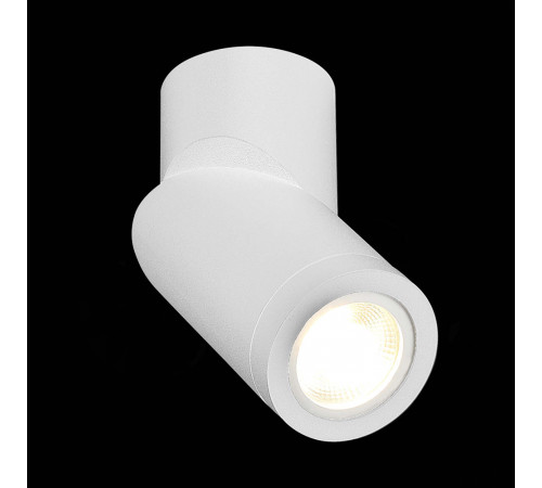 Точечный светильник ST Luce ST650.502.01
