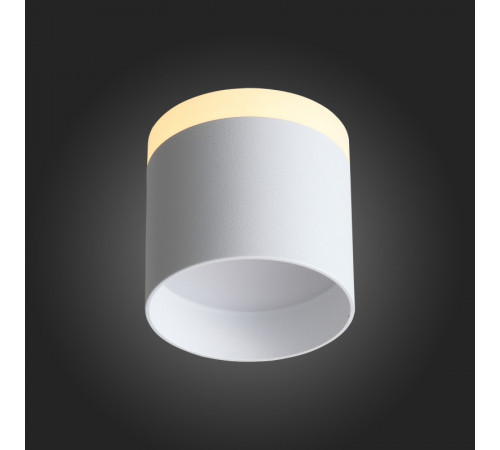 Накладной светильник ST Luce ST102.502.12 Накладной светильник ST Luce ST102.502.12