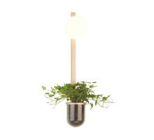 Настенный светильник Odeon Light Flower 4682/1WB