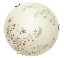 Настенный светильник Arte Lamp Ornament A4920PL-2CC