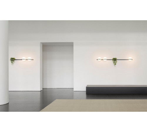 Настенный светильник ImperiumLoft Palma 99816-22 Настенный светильник ImperiumLoft Palma 99816-22