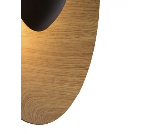 Настенный светильник Lumien Hall Arta 8007/1WS-WD Настенный светильник Lumien Hall Arta 8007/1WS-WD