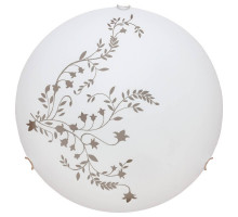 Настенный светильник Arte Lamp Ornament A3820PL-2CC